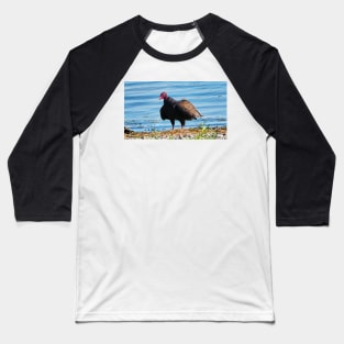 Turkey Vulture Staring A The Camera Baseball T-Shirt